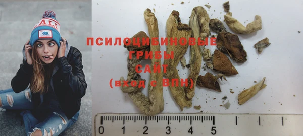 гидропоника Алзамай